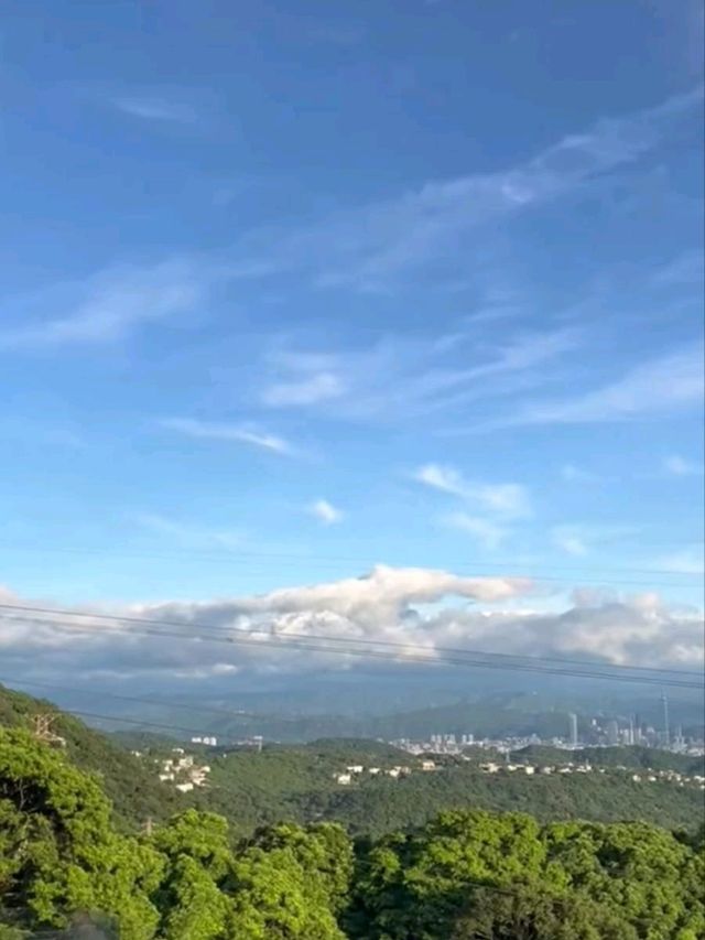 Yangmingshan Scenery 