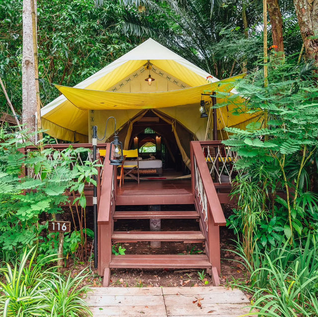 Hintok River Camp กาญจนบุรี 