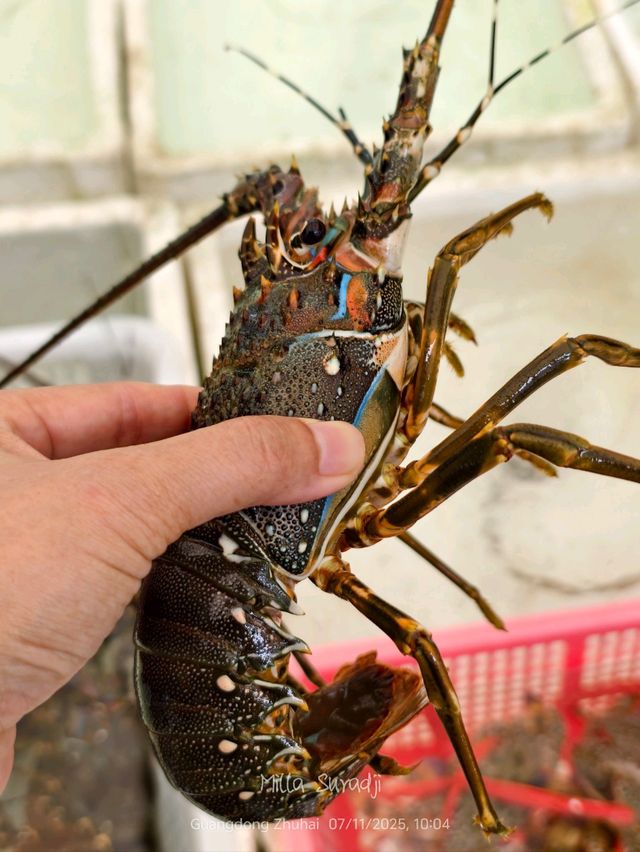 Seafood paradise in Zhuhai