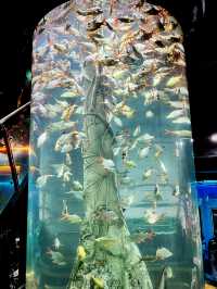 Tidal Marvels at The Coastal Zone, Aquaria KLCC