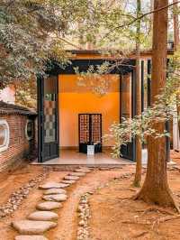 Akasaka Hikawa Shrine Tokyo