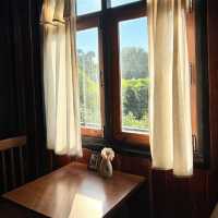 Tavy’s Home – ที่พักอบอุ่นเหมือนบ้านจริง ๆ 