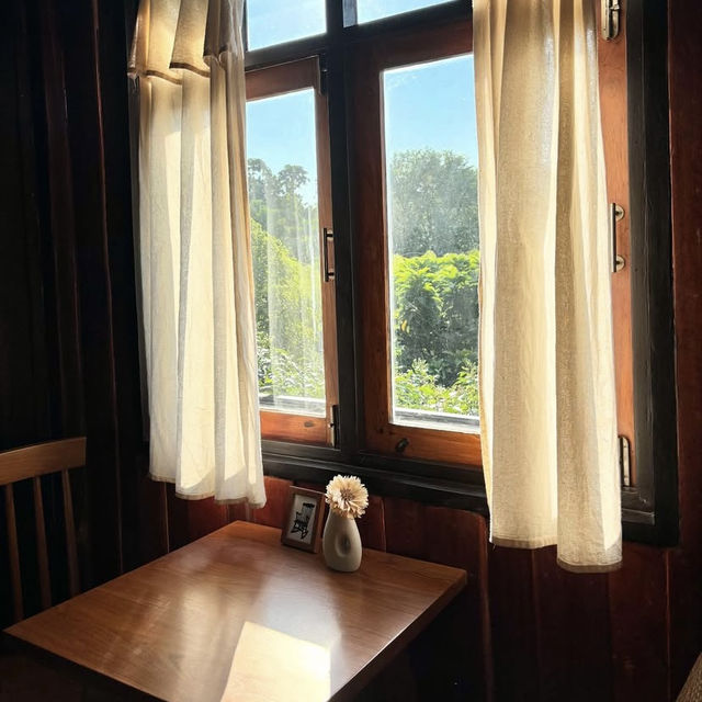 Tavy’s Home – ที่พักอบอุ่นเหมือนบ้านจริง ๆ 