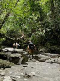 Hiking in Bạch Mã — Waterfalls, Jungle & Quiet Moments ⛰️🌧️