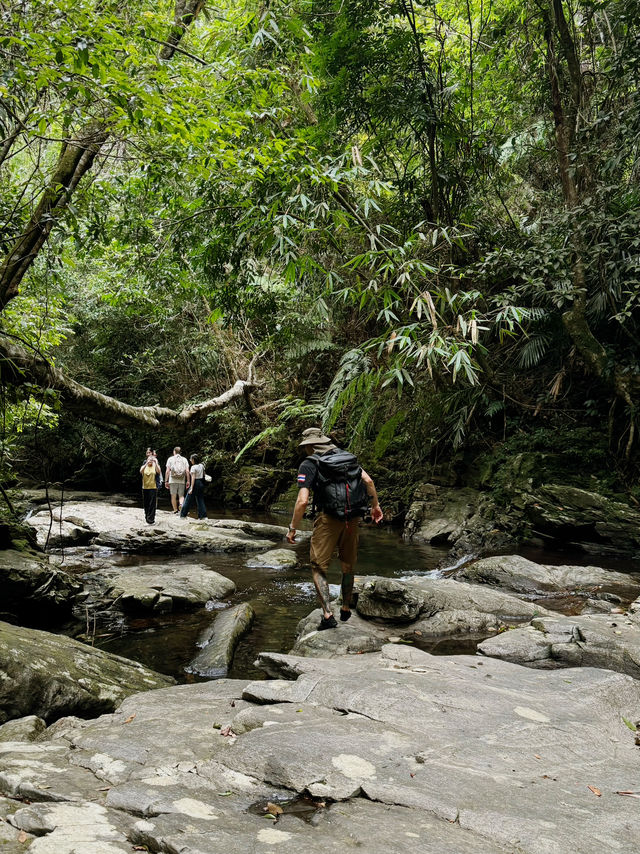 Hiking in Bạch Mã — Waterfalls, Jungle & Quiet Moments ⛰️🌧️