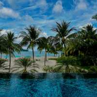 Celestial Shores and Island Reverie