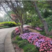 Dallas Arboretum & Botanical Garden