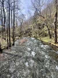 Spent a day at Oirase Gorge - Aomori