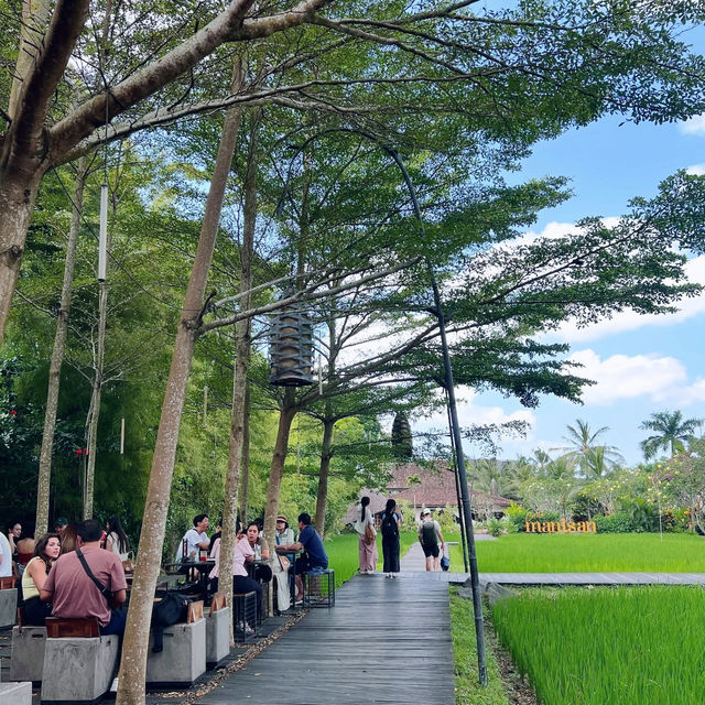 Brews, Bites & Bali Vibes: Pison Ubud Hits the Spot 🇮🇩