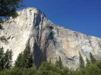 【Yosemite National Park／ヨセミテ国立公園】