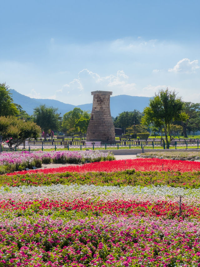 여름 경주 여행코스🌿