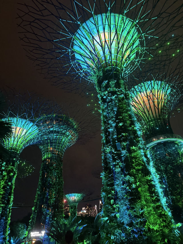An Unforgettable Night at Supertree Grove 