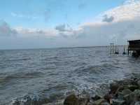 Tanjung Sepat Escape: A Day Trip Delight