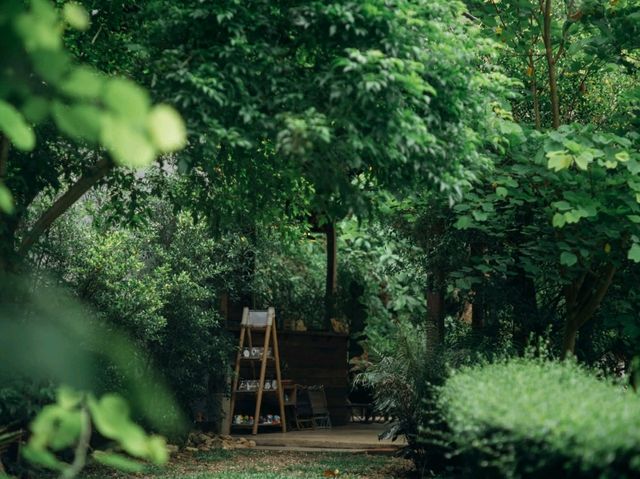 GOODFARM - สวนผักกูดฮิมม่อน น่าน