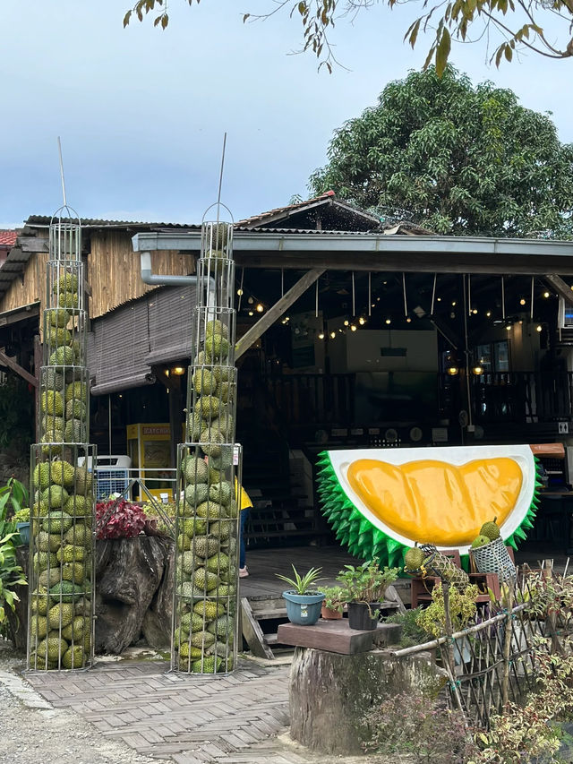 Durian Moments in the Hills: My Visit to Rimba by Dking near Genting