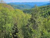 Great Smoky Mountains National Park