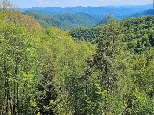 Great Smoky Mountains National Park