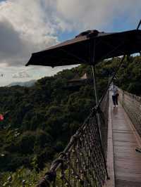 Another cool thing about Yalong Bay? The Yalong Bay Tropical Paradise Forest Park in the hills! 🌿