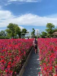 รีวิวคาเฟ่เมืองตรัง