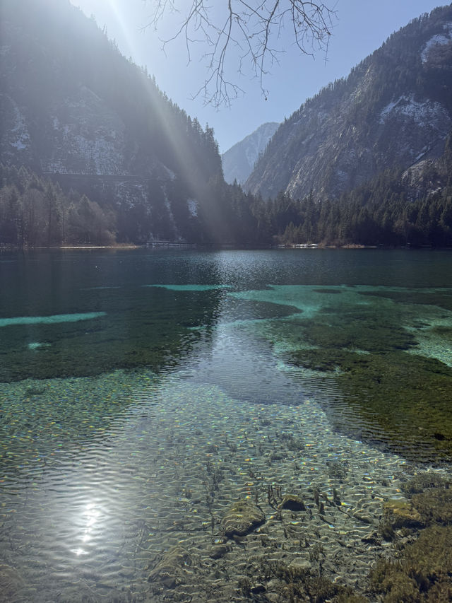 China’s Hidden Paradise: The Untold Wonder of Jiuzhaigou