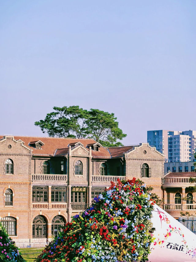 Shijiazhuang Welcomes Everyone with Giant Bouquets this May Day! 💐