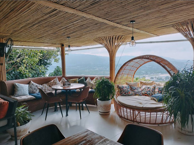 The Cocoon