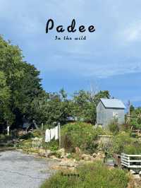 Padee in the wild (ปาฎี) ระยอง