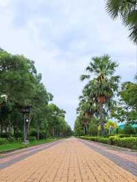 วิ่งเย็นๆ ที่พุทธมณฑล ศาลายา 🏞️