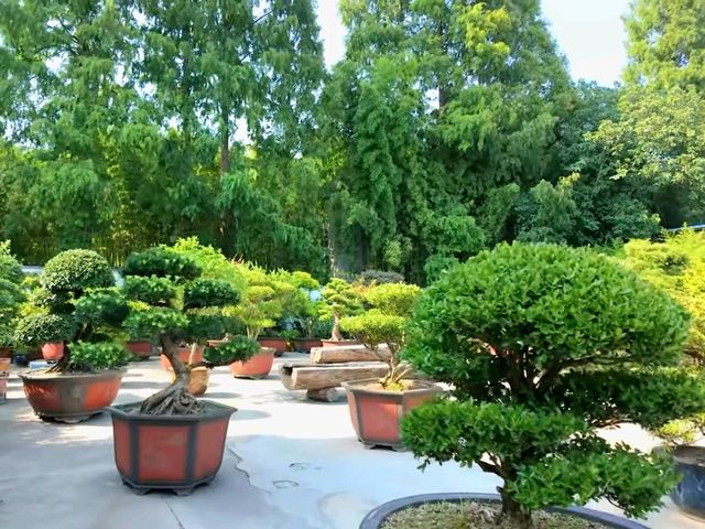 Longhua Temple – Oldest Buddhist Temple in Shanghai