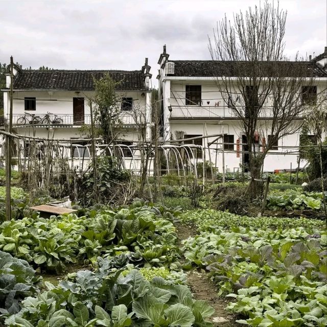 Wuyuan Town in Jiangxi