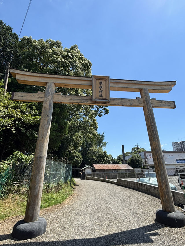 熊本-水前寺成趣園(出水神社) 熊本-水前寺成趣園(出水神社)