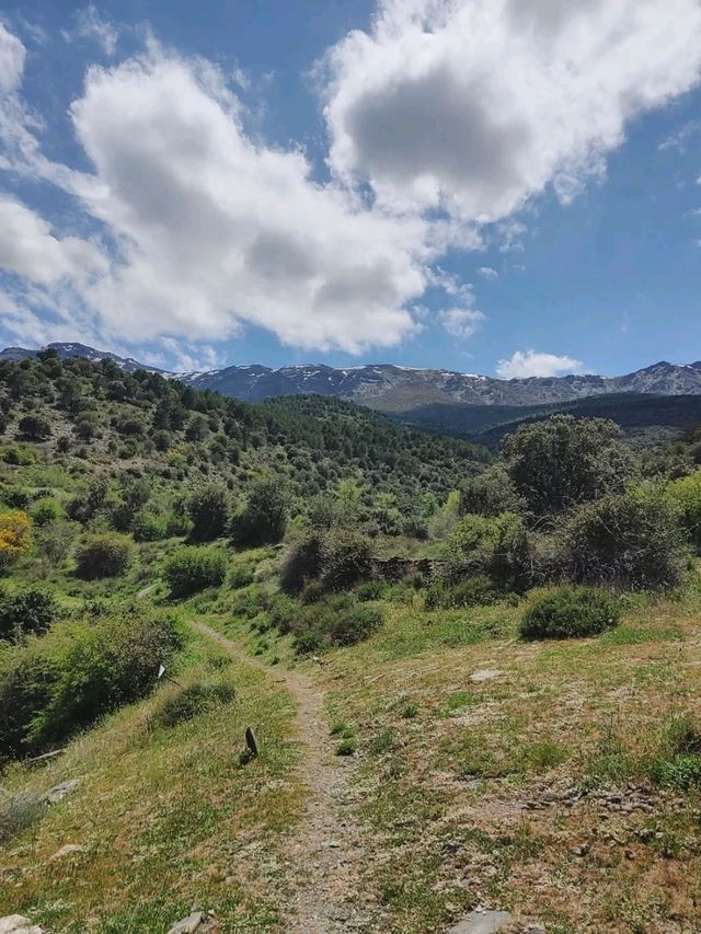 Unexpected Trails and Epic Views in Fiñana
