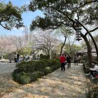 🌅 West Lake (西湖): A Grand Stage of Nature and Culture
