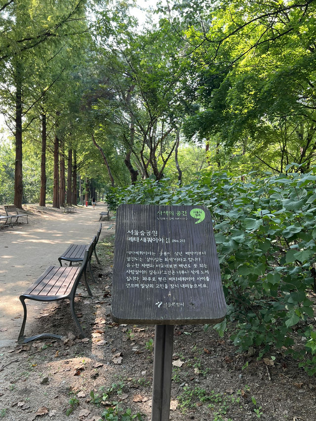 서울숲의 숲길들