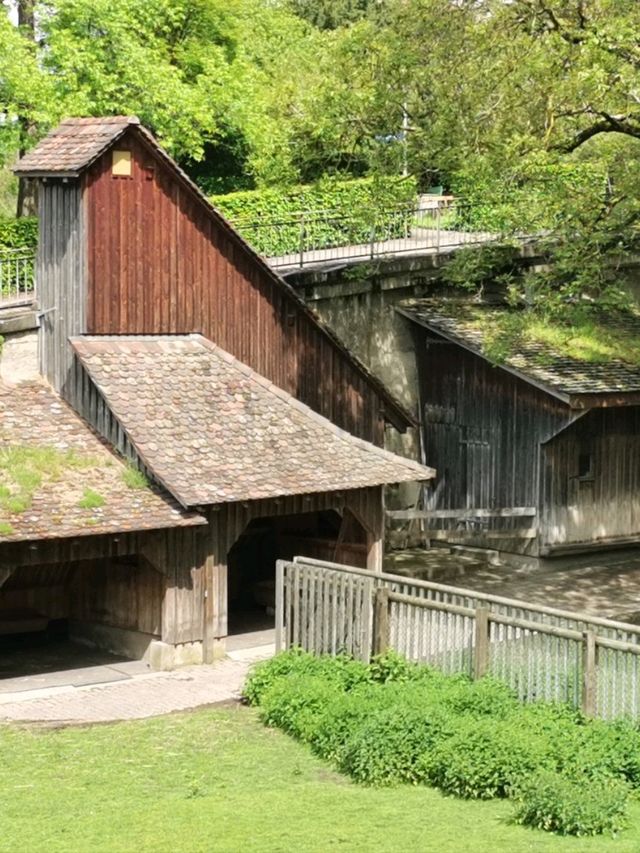 🧱Munot, The Crown 👑 of Schaffhausen