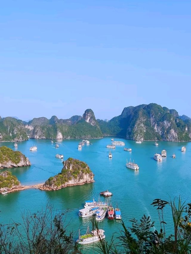  Halong Bay Cruise Trip 