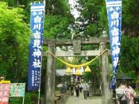 【熊本】池の水がそのまま飲める！澄み切った美しい水「白川水源」