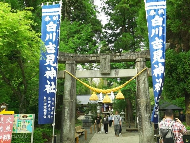 【熊本】池の水がそのまま飲める！澄み切った美しい水「白川水源」