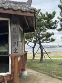 바다와 바람, 그리고 여름의 한 페이지 🌊🌴