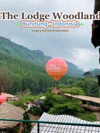 The Lodge Woodland