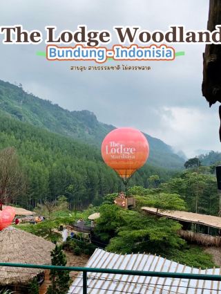 Khu rừng Lodge