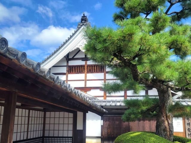 京都 | 大覺寺，從皇家別苑轉變為真言宗的寺院