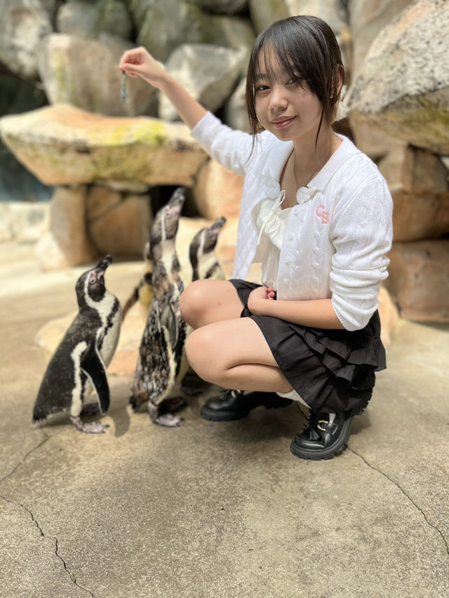 Enjoy 2 Days in SAFARI CASARUA BOGOR Enjoy 2 Days in SAFARI CASARUA BOGOR