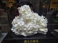 Beautiful porcelain and paintings at China Art Museum