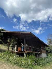 🌿☕ สวนเฌอ (Cher Farm) คาเฟ่ลับกลางสวนลำไย