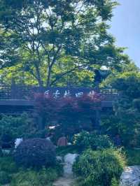 Slender West Lake – Yangzhou’s Liquid Scroll Painting