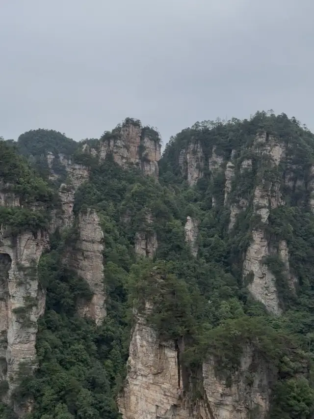 張家界令人屏息的壯麗景色