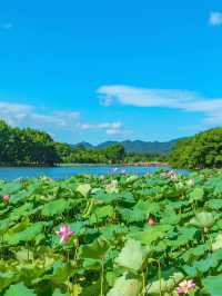 West Lake in August – A Summer Energy Boost