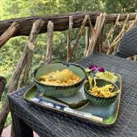 The Giant Chiangmai Thailand – ร้านกาแฟบนต้นไม้ใหญ่