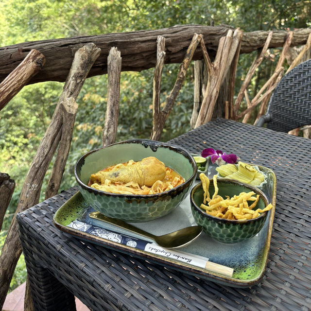 The Giant Chiangmai Thailand – ร้านกาแฟบนต้นไม้ใหญ่